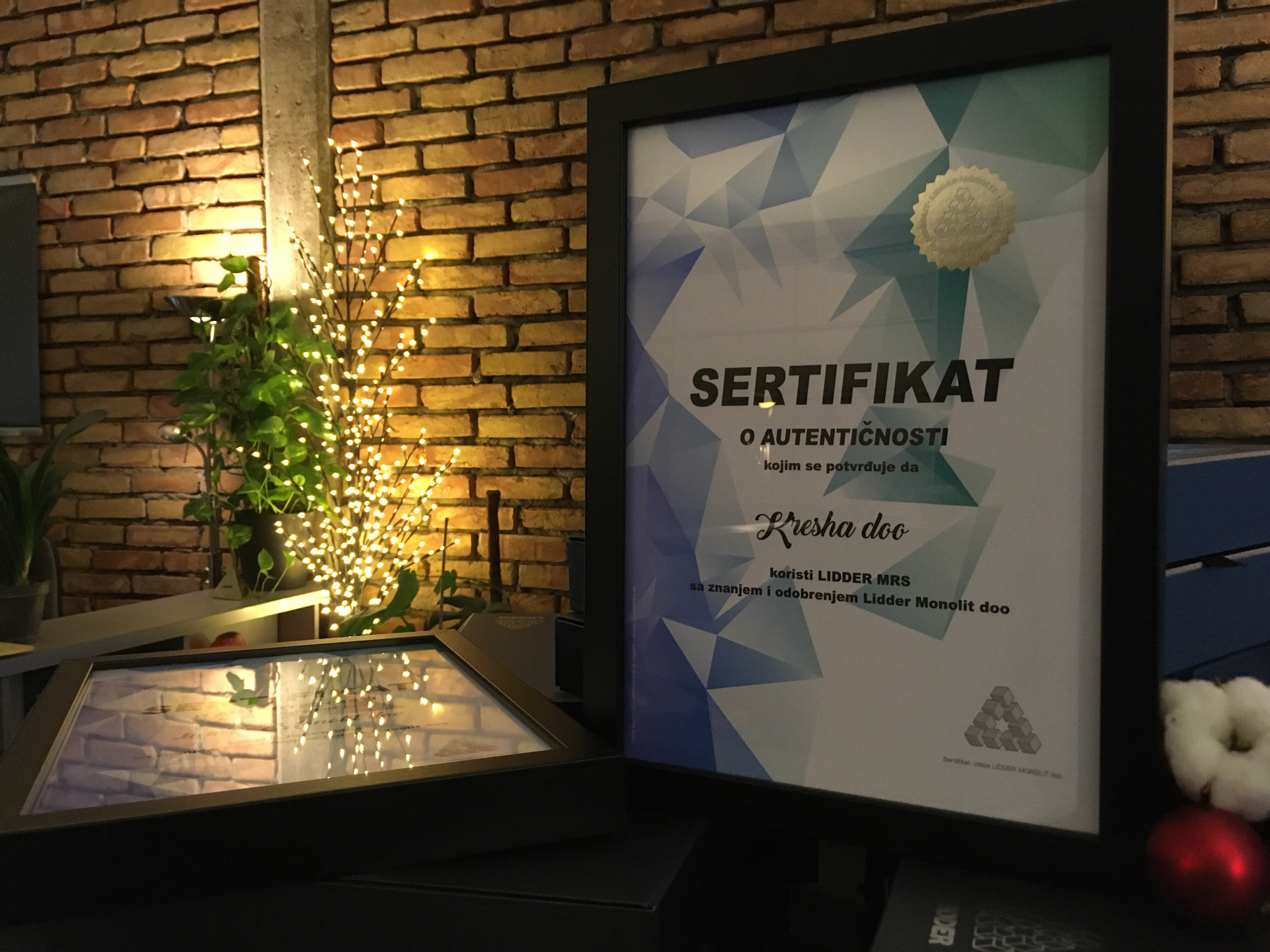 profesionalni knjigovodstveni program